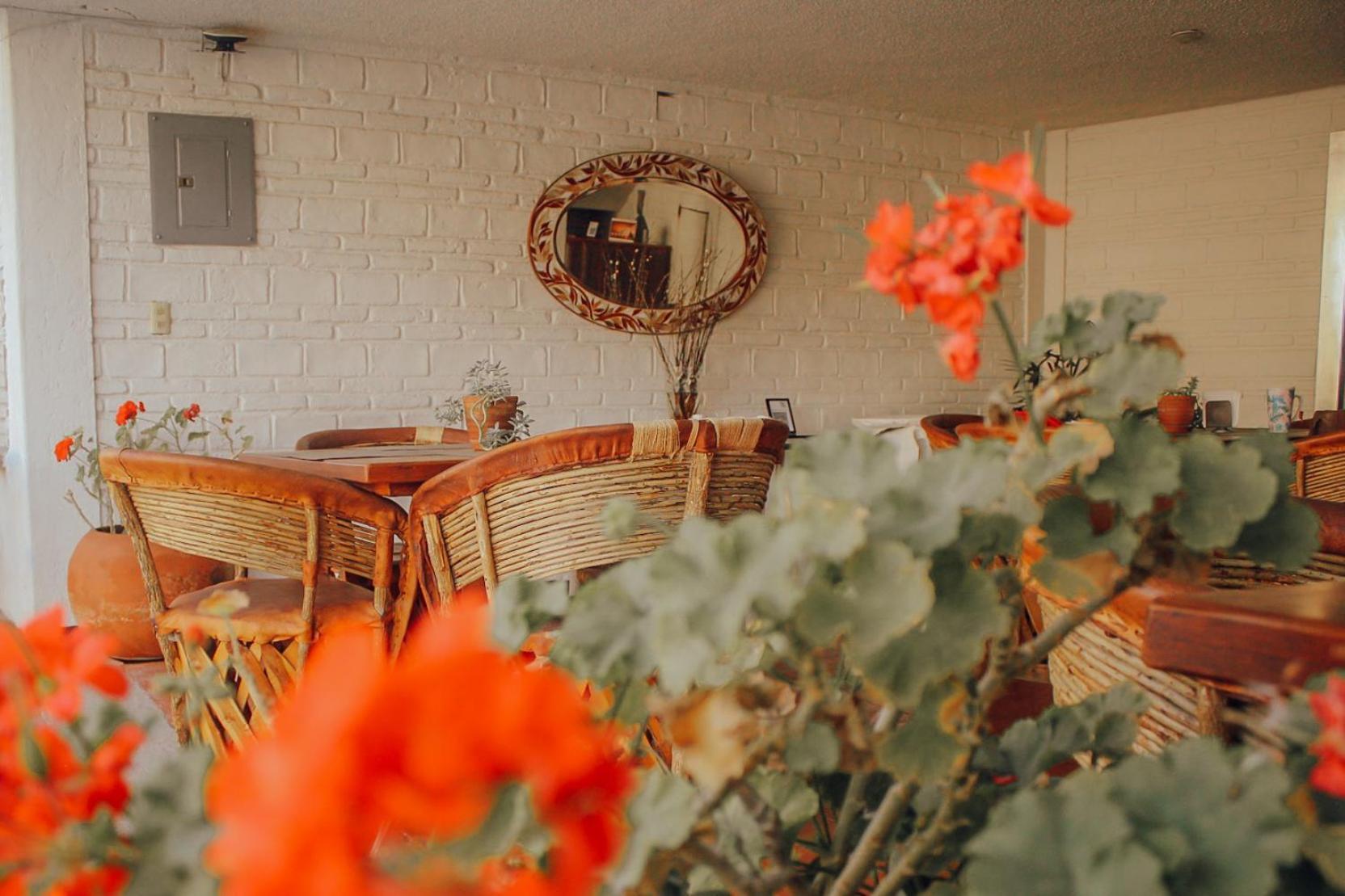 Ilebal Centro - Lugar Con Encanto! 4* Cuernavaca